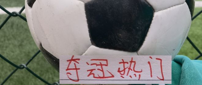 申花不扣分也是夺冠热门 今年夺冠球队应是澳波系四大球队