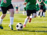 埃弗顿VS利物浦预测中国足球彩票26063期胜负游戏14场交战记录